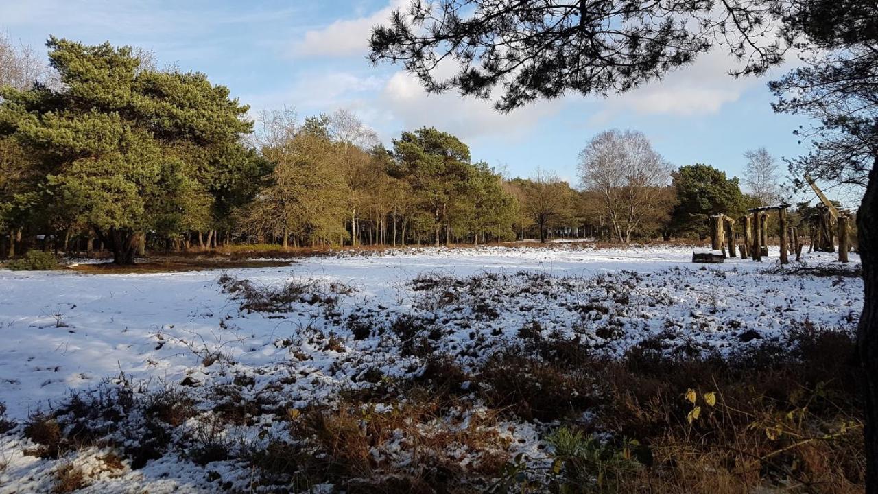 Chalet Op De Veluwe # Beuk Putten Luaran gambar