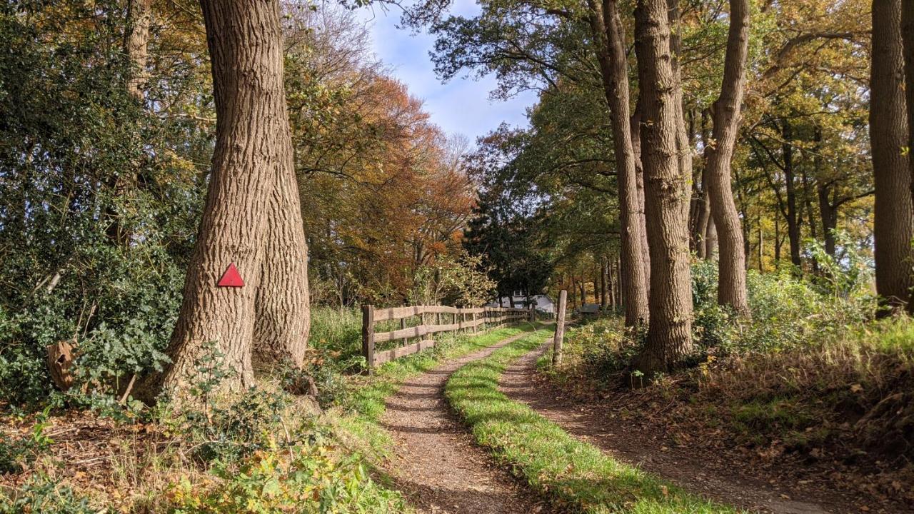 Chalet Op De Veluwe # Beuk Putten Luaran gambar