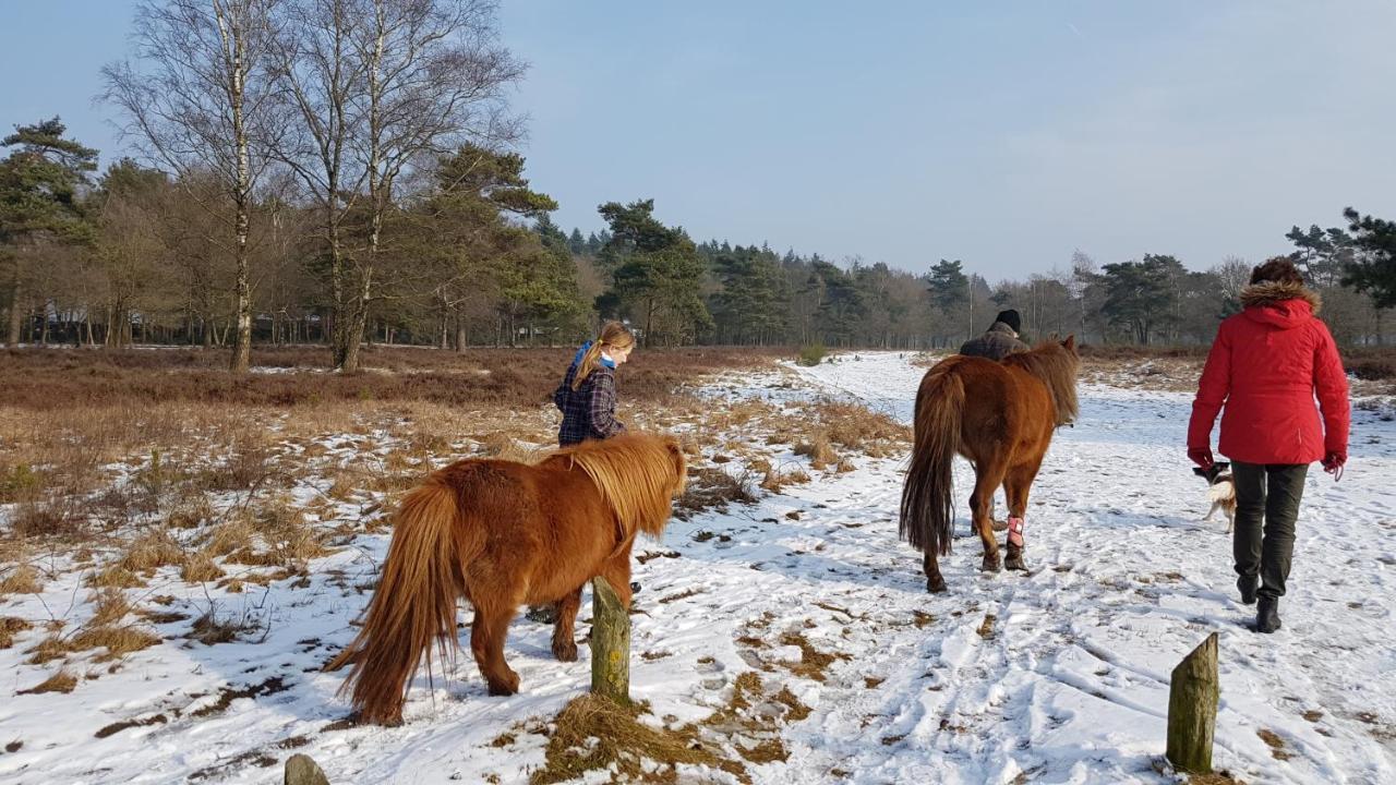 Chalet Op De Veluwe # Beuk Putten Luaran gambar