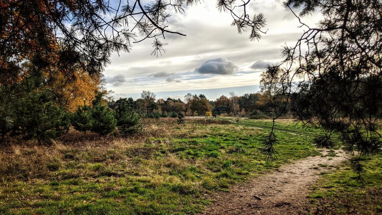 Chalet Op De Veluwe # Beuk Putten Luaran gambar